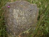 image of grave number 19691